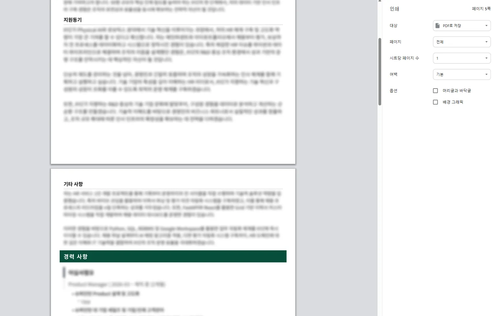 깔끔하게 출력된 이력서 PDF 미리보기